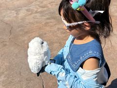 -城市大道红炉披萨烘焙坊