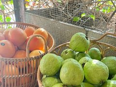 -野草莓自由市场
