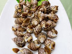 白灼花螺-高佳庄·舟山海鲜(海景旗舰店)