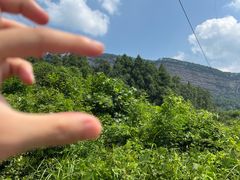 -剑门关风景区