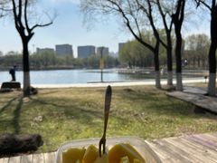 -长春世界雕塑园冰雪艺术天地