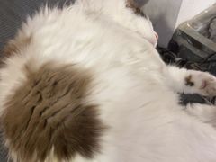 -白兔子密室(长寿路店)