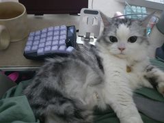 -满兴咱妈烀饼铁锅炖(兰州北街店)