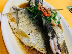 葱淋鲈鱼-壹厨饭店(五羊店)