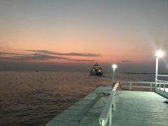 -茶理宜世(东方宝泰店)