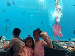 -瑞德姆美人鱼海底演艺主题餐厅(亚龙湾店)