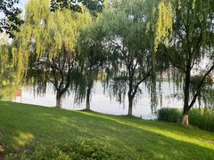 -西山漾湿地公园