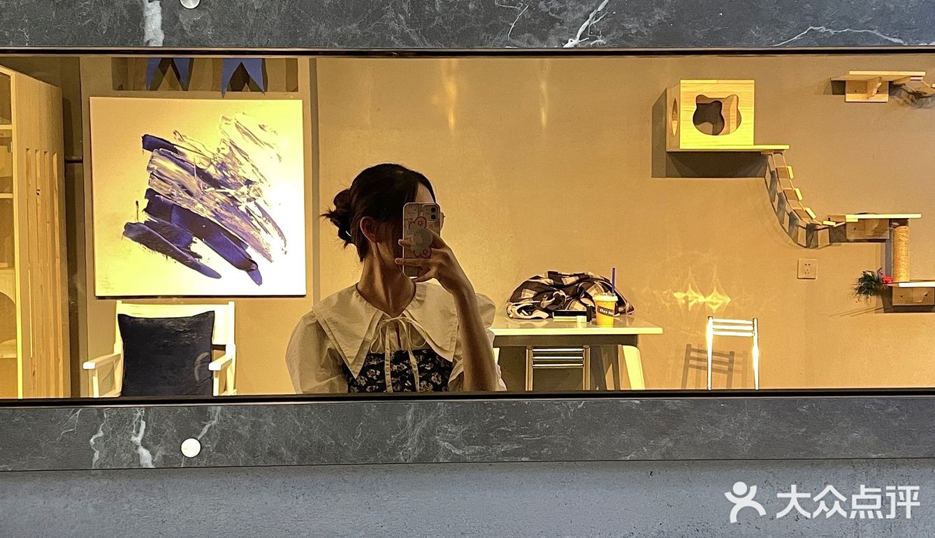 锦州探店·水泥工业风猫咖 | a cat cafe93