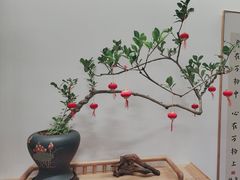 -山水茶艺馆·点心粤菜·30年老字号