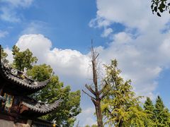 -西园戒幢律寺