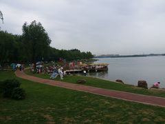 -丁香湖公园