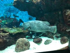 -鹿儿岛水族馆