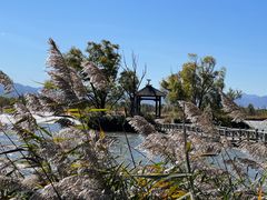 -野鸭湖国家湿地公园