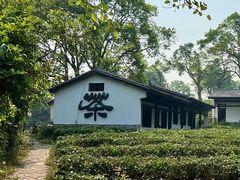 -普洱太阳河森林公园