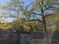 -北京凤凰岭