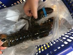 -盒马鲜生(大成店)