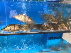 -盒马鲜生(皇庭广场店)