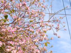 -南丰汇(新港东路店)