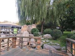 -唐城墙遗址公园