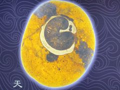 -仪征博物馆