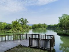 -西溪国家湿地公园