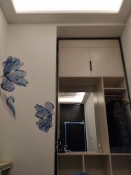 -DEM缔怡美科技美容