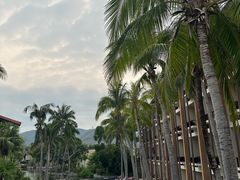 -三亚亚龙湾雅高铂尔曼别墅度假酒店