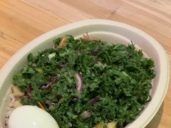 -油梨树AVOCADO TREE(望京店)