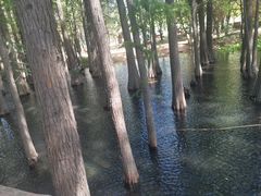 -东湖落雁景区