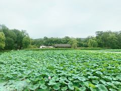 -承德避暑山庄景区