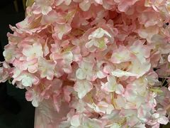 -中家鑫园温泉酒店鑫悦汤泉