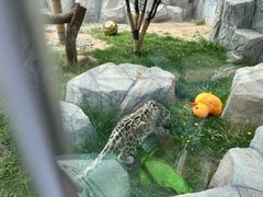 -青藏高原野生动物园