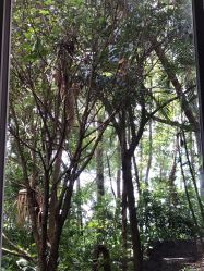 点击看大图 -禧月荟·爱丽馨月子中心(山庄店)