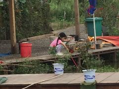 -同銮特种养殖场·龙虾垂钓