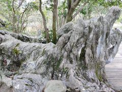 -千岛湖东南湖区