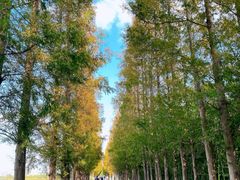 -嘉北郊野公园