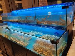 -太湖饭店玉兰厅(自助餐厅)