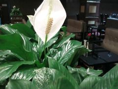 -汉城馆·烤肉火锅餐厅·韩国烤肉(河北云瑧世纪大饭店)