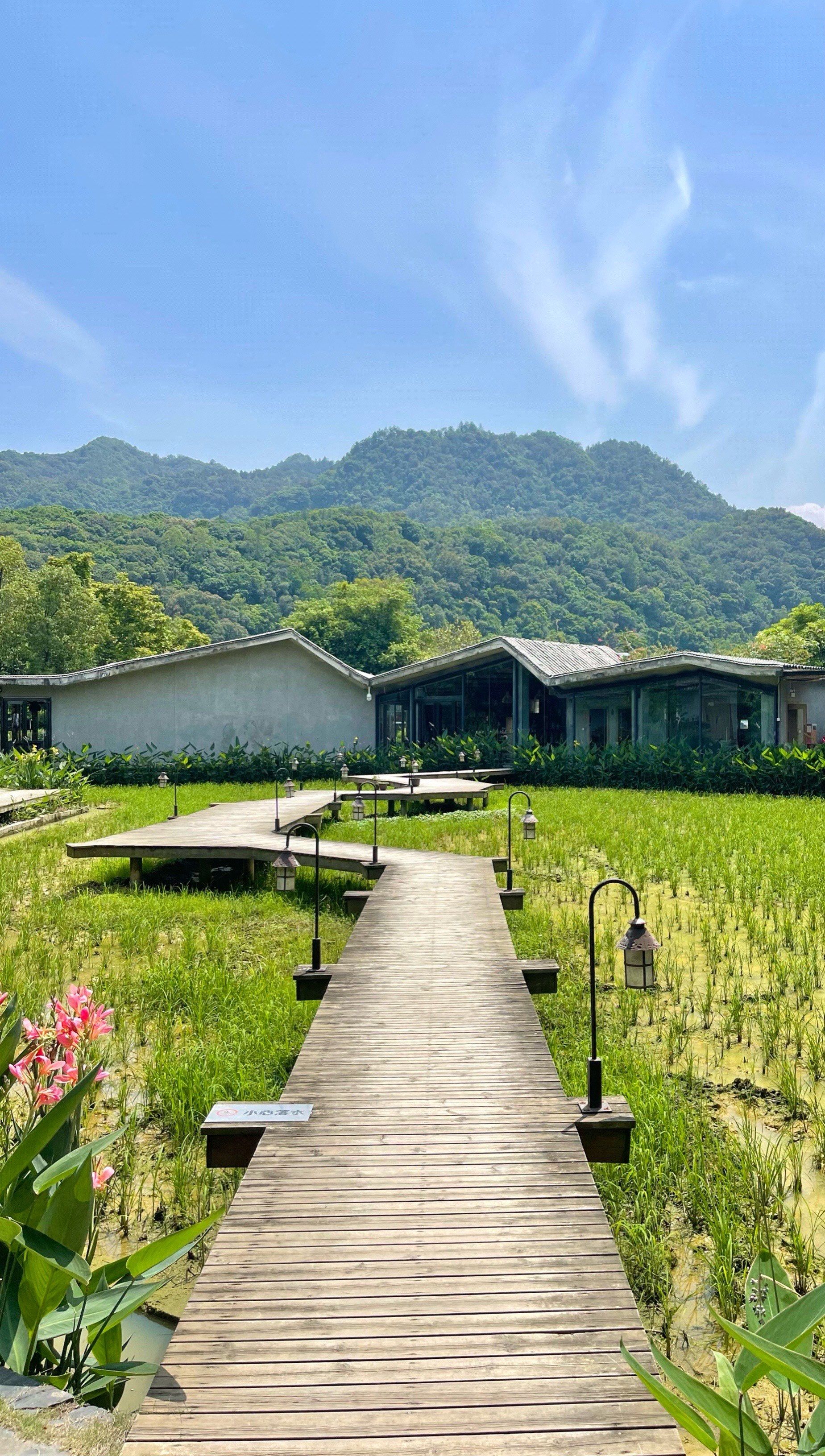 稻田里的酒店——禾肚里