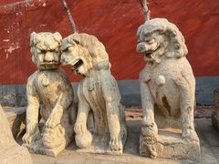 -真定郝家排骨(大十字街店)