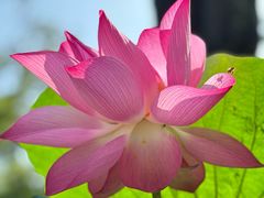 -云溪植物园