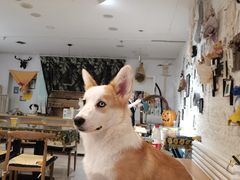 -平行世界·猫咖(首经贸店)