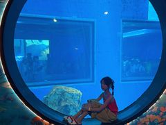-海合安武汉极地海洋公园