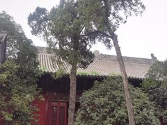 -洛阳白马寺