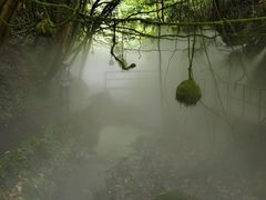 -夏霖九天银瀑风景区