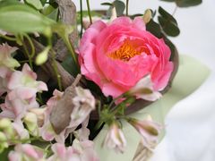 -花到家(富贵鸟花艺行)