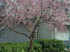 -东南大学(九龙湖校区)