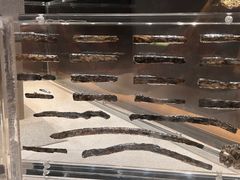 -金沙遗址博物馆
