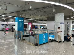 -东方体育中心(地铁站)