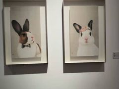 -宝龙艺术中心(七宝宝龙城店)